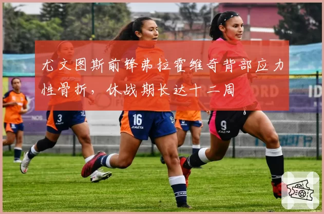 尤文图斯前锋弗拉霍维奇背部应力性骨折,休战期长达十二周