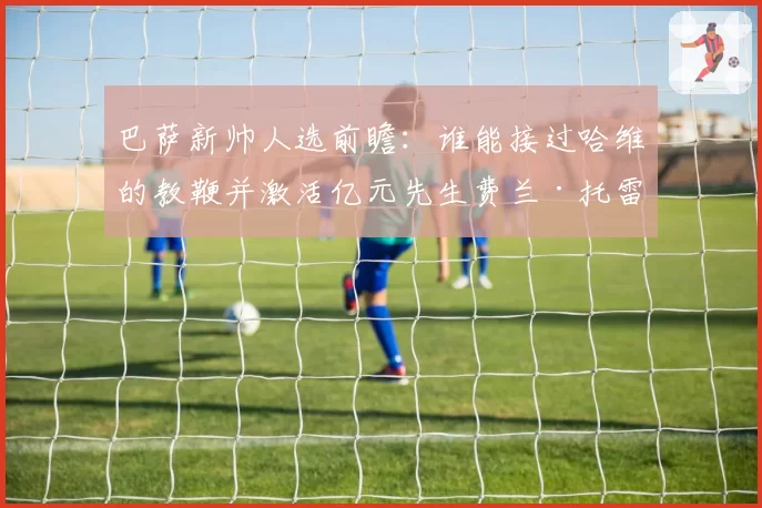 巴萨新帅人选前瞻：谁能接过哈维的教鞭并激活亿元先生费兰·托雷斯？